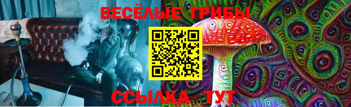 Псилоцибиновые грибы Psilocybine cubensis  Вход с VPN  Ессентуки  Галлюциногенные грибы прущие грибы 